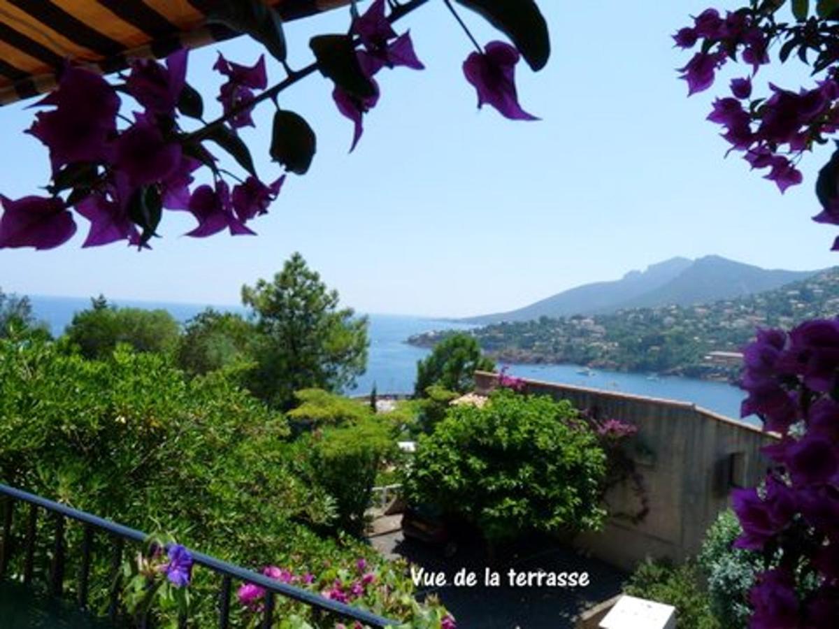 Studio A Theoule Sur Mer A 400 M De La Plage Avec Vue Sur La Mer Terrasse Amenagee Et Wifi Διαμέρισμα Εξωτερικό φωτογραφία